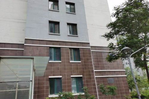 華泰國際豪園公寓住宅深度解析 優點、不足與市場評價